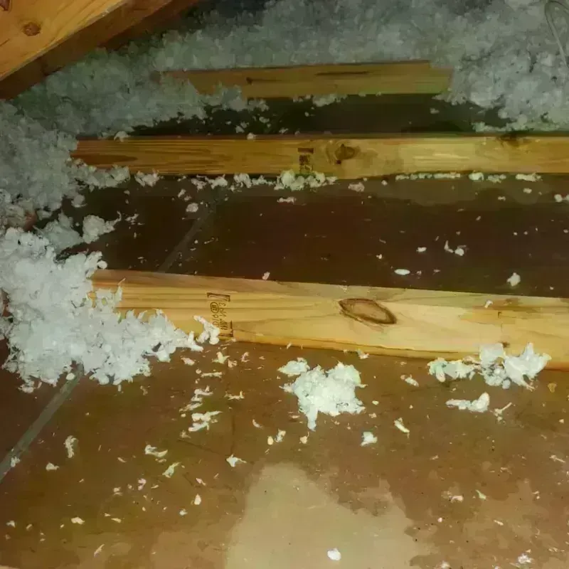 Attic Water Damage in Granby, MA